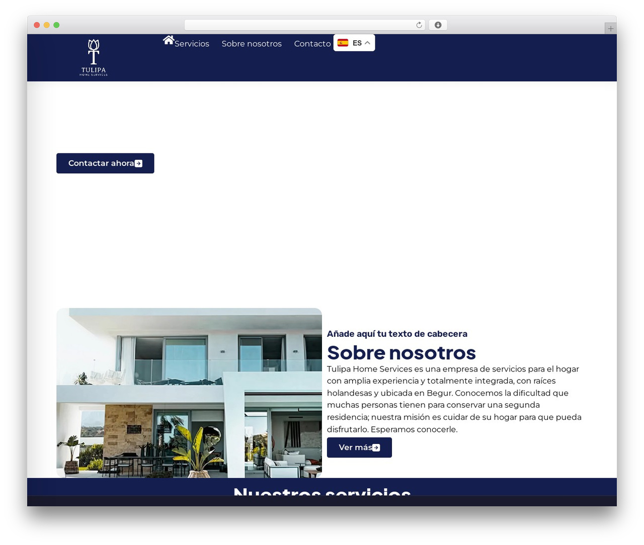 Theme WordPress Hello Elementor - tulipaservices.com