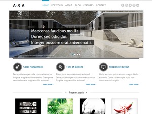 WordPress website theme AXA Theme for WordPress by TeslaThemes