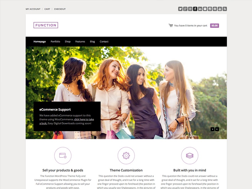 WP theme Function by http://www.authenticthemes.com