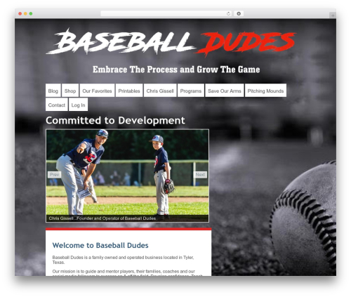 Rotatingtext WordPress plugin - baseballdudes.com