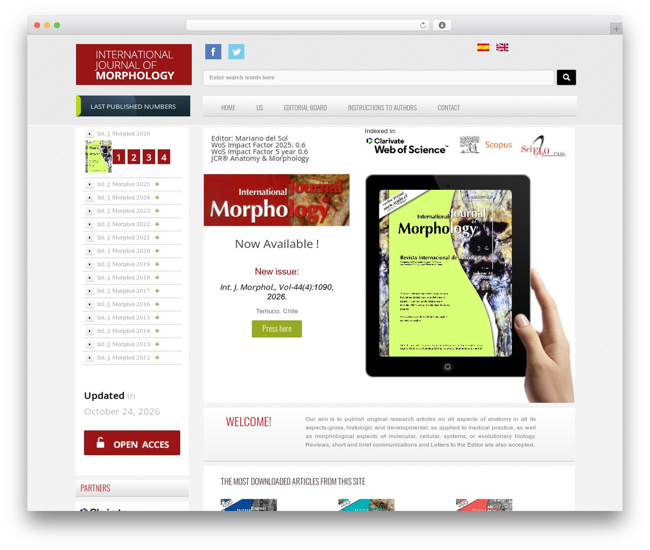 WordPress theme Tema Base - intjmorphol.com