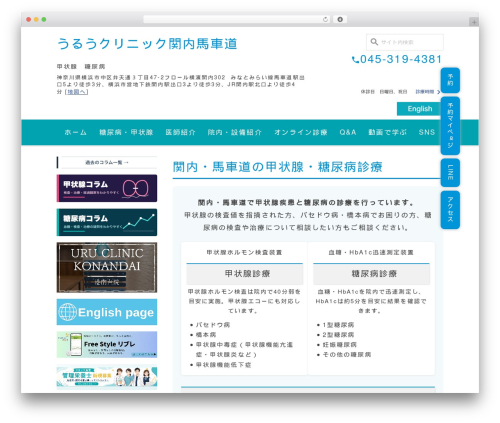 Business calendar WordPress plugin - uruclinic-bashamichi.com