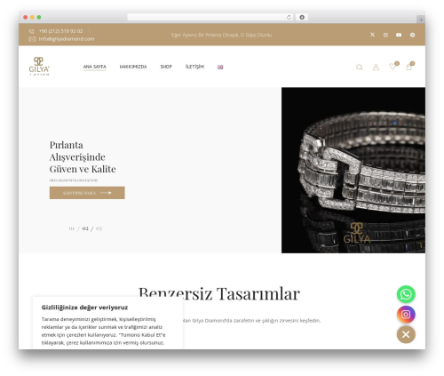 WordPress theme Eldy - gilyadiamond.com