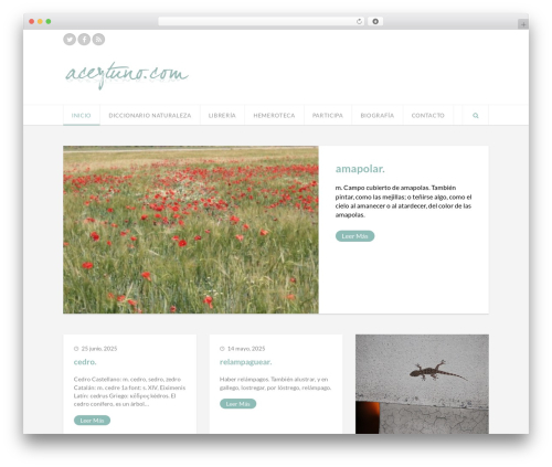 Aceytuno WordPress theme - aceytuno.com