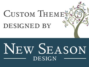 ALI Theme WordPress theme