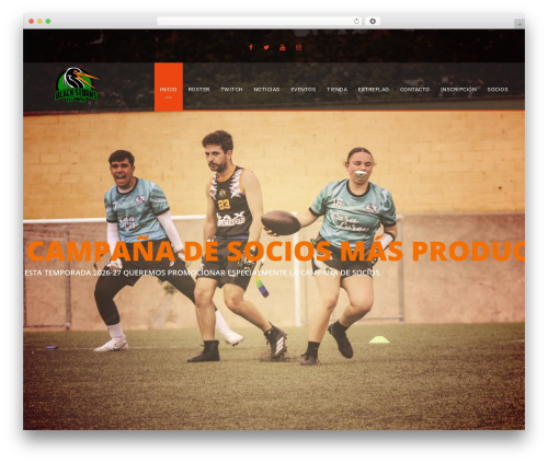 BigSlam WP theme - blackstorks.com