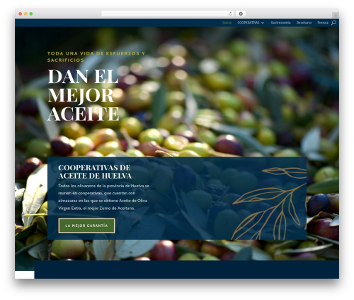 Divi WordPress theme - aceitehuelva.com