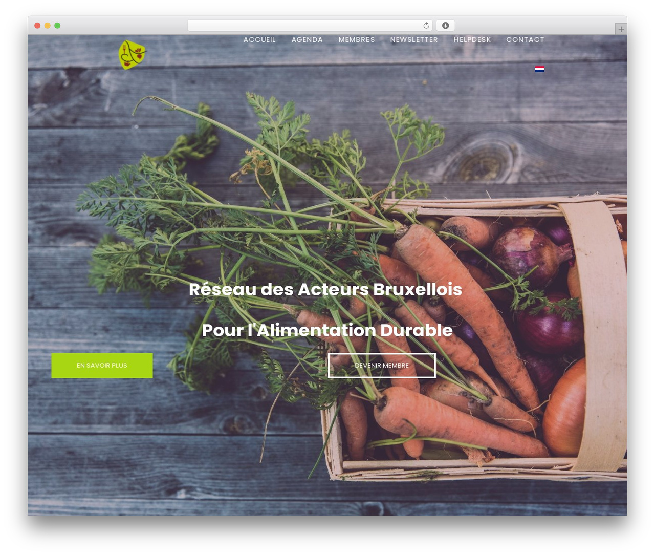 Massive Dynamic Child Theme WordPress theme - rabad.be Massive Dynamic Child Theme WordPress theme - rabad.be