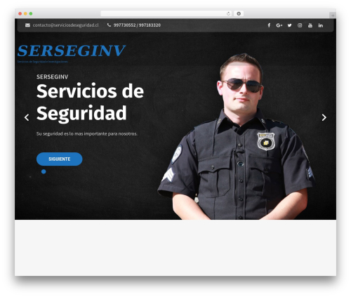 Theme WordPress Secure Pro - serviciosdeseguridad.cl