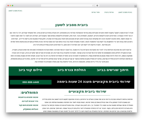 Buzz WordPress theme design - 24sewer.co.il