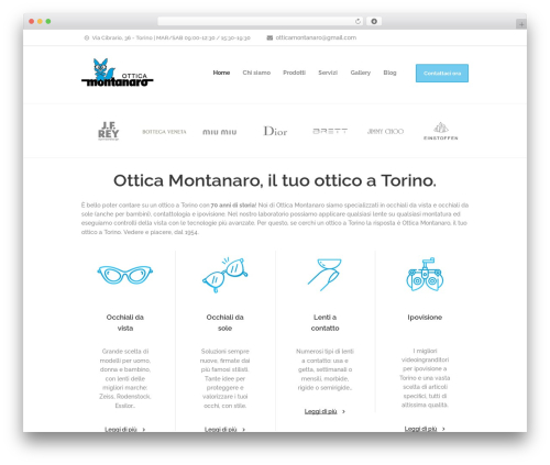 Optometry theme WordPress - otticamontanaro.it