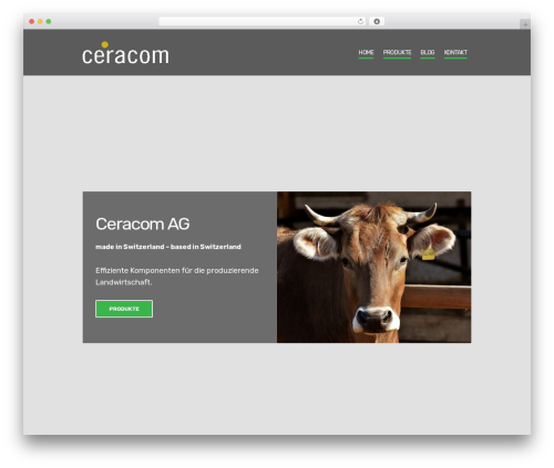 Struct - Ignition WordPress website theme - ceracom.ch