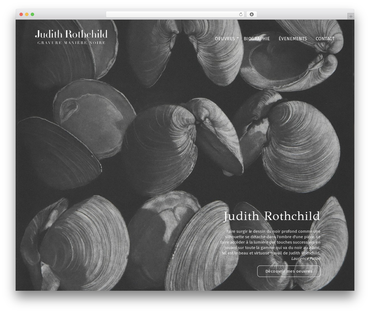 Theme WordPress Blacksilver - judithrothchild.com Theme WordPress Blacksilver - judithrothchild.com