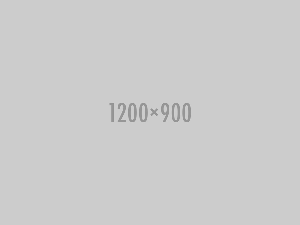 Webuilddatabases WordPress theme Webuilddatabases WordPress theme