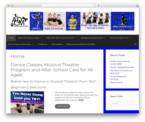 Advanced Social Pixel (ns-facebook-pixel-for-wp) free WordPress plugin - alicatsdancestudio.com Advanced Social Pixel (ns-facebook-pixel-for-wp) free WordPress plugin - alicatsdancestudio.com