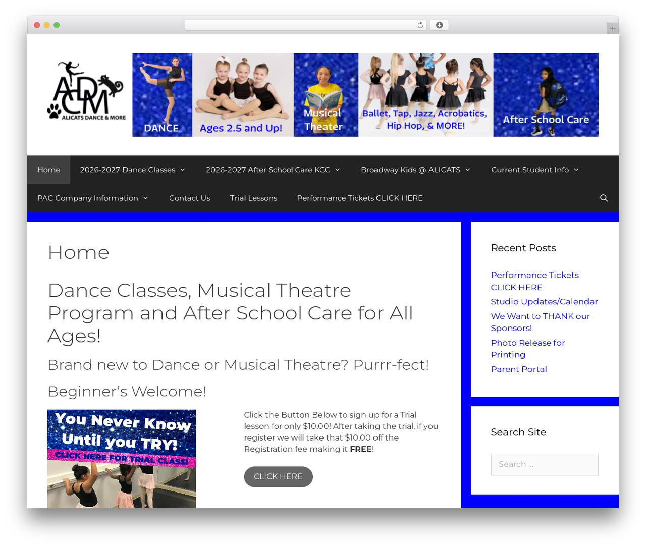 WordPress theme GeneratePress - alicatsdancestudio.com