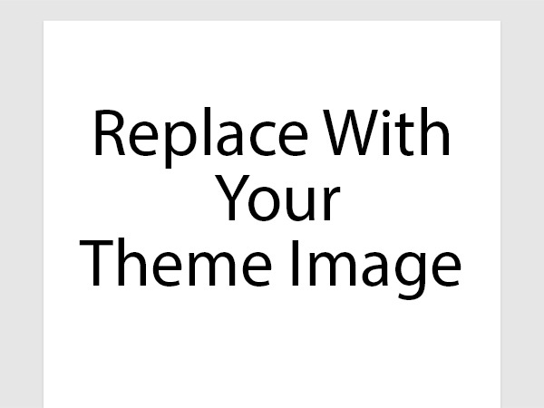 WordPress theme Wordpress Theme name by Theme Author Name Here