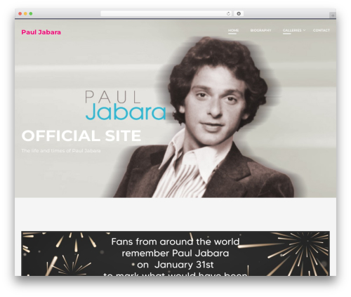 Themeum core WordPress plugin - pauljabara.com