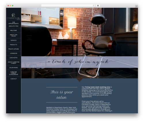 Bb sticky column WordPress plugin - christinecordeysalon.com