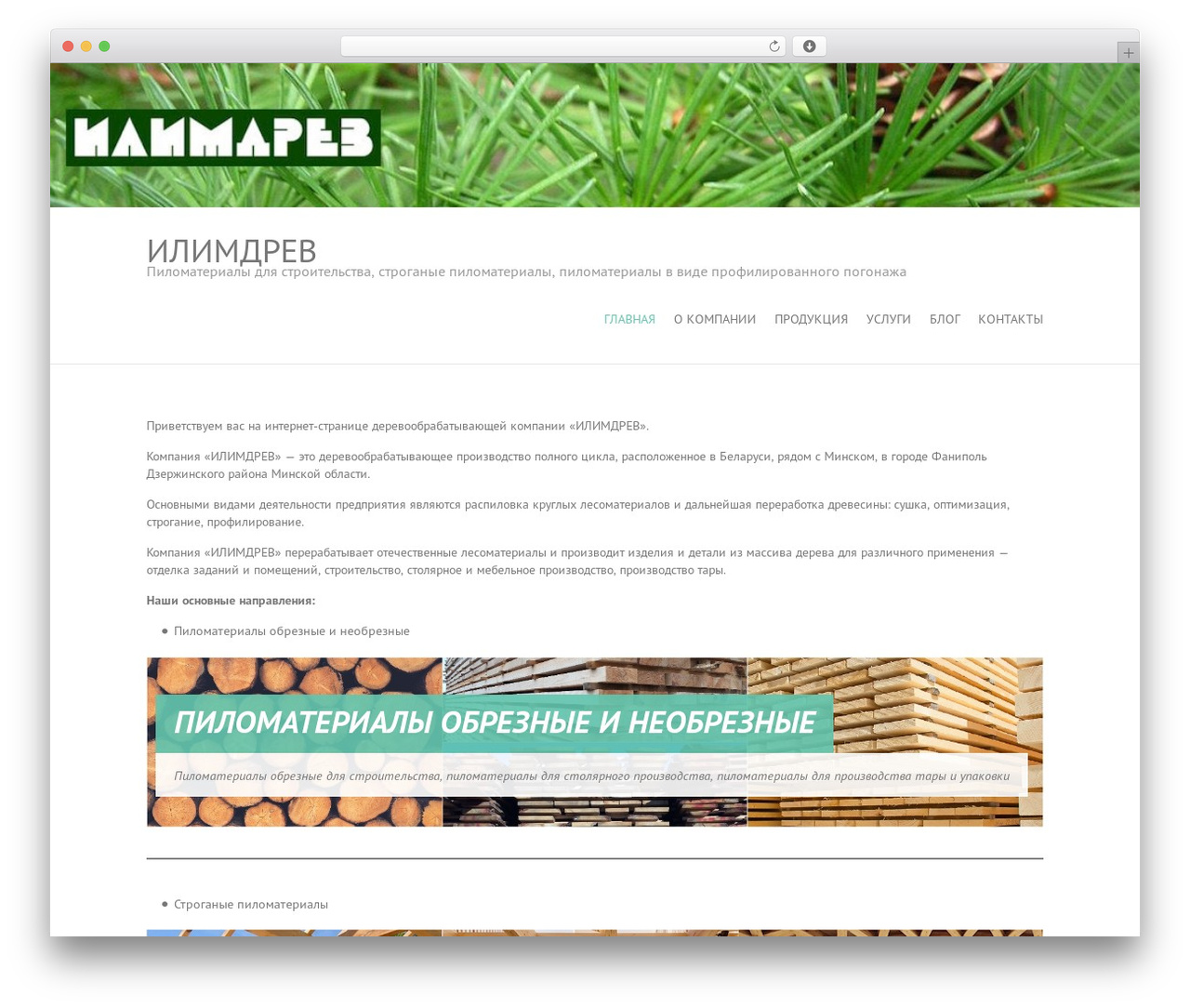 Interface top WordPress theme - ilimdrev.com