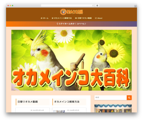 Video blogster pro WordPress plugin - xn--eckld7ayrzd.com