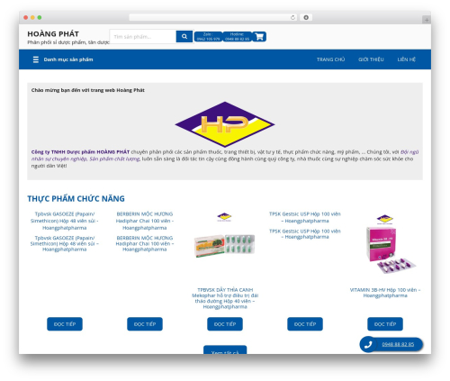 Theme WordPress DP E-Store - duochoangphat.com.vn