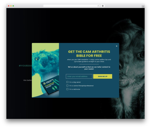 WordPress theme BuddyBoss Theme - caninearthritis.co.uk