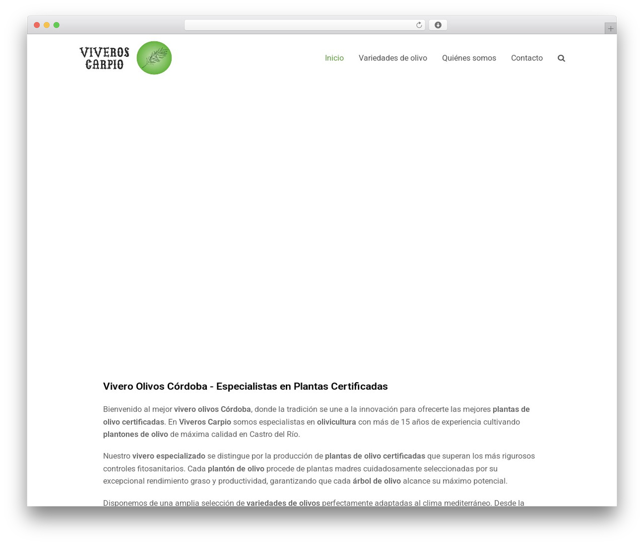 Total WordPress theme - viverosdeolivocarpio.com Total WordPress theme - viverosdeolivocarpio.com