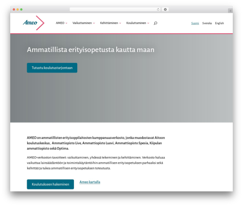 WordPress theme Divi - ameo.fi