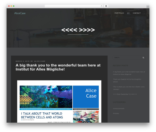 Saatchi top WordPress theme - alicecase.com