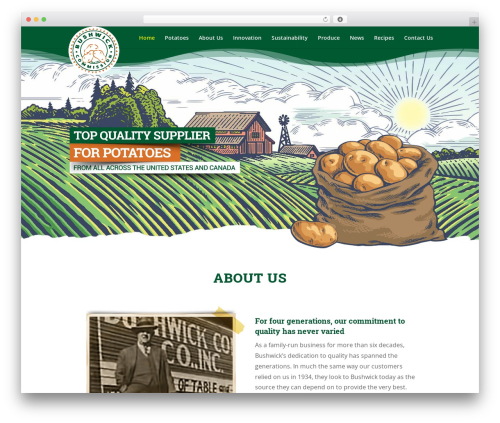 WordPress theme Divi - bushwickpotato.com