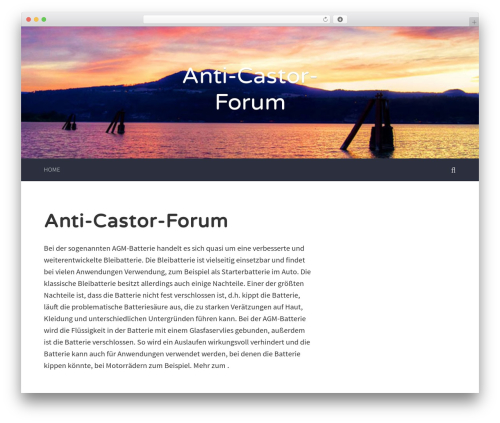WordPress theme Accent - anti-castor-forum.de