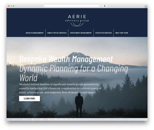 WordPress theme DI Theme - aerieadvisory.com