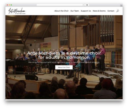 Theme WordPress Sonder Client - amchoir.com