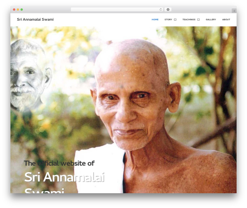 Tooltipy (tooltips for WP) (bluet-keywords-tooltip-generator) free WordPress plugin - sriannamalaiswami.org Tooltipy (tooltips for WP) (bluet-keywords-tooltip-generator) free WordPress plugin - sriannamalaiswami.org