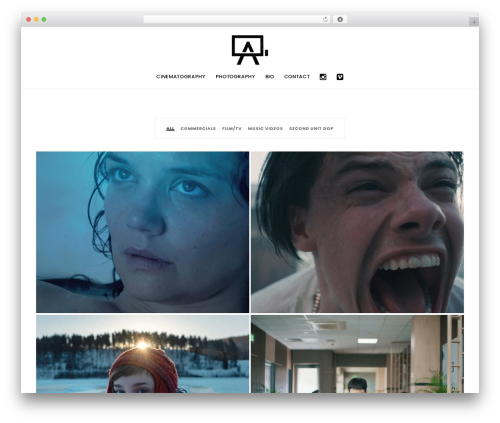 WordPress theme Borano - alexanderstanishev.com