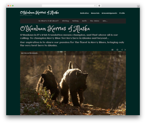 base WordPress theme - alaskankerryblues.com