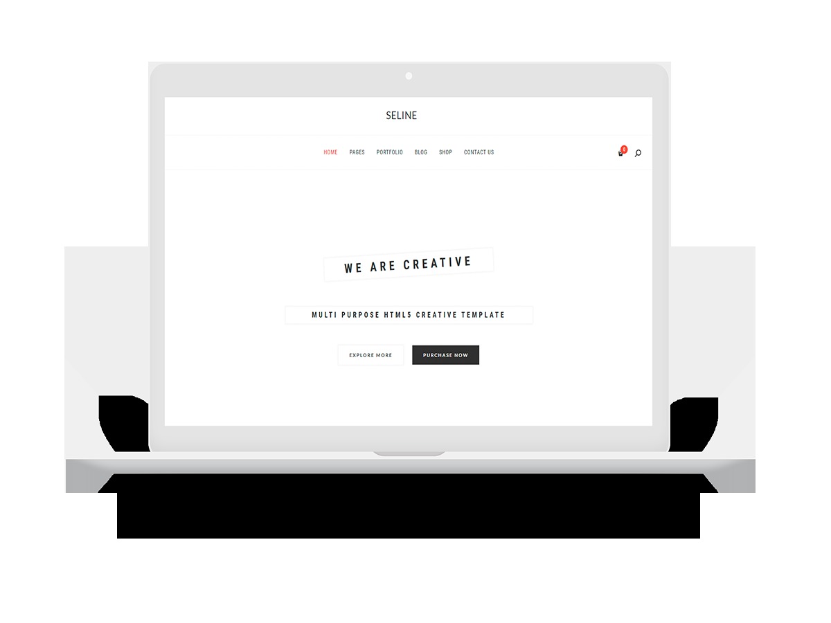 Best WordPress theme Seline Best WordPress theme Seline