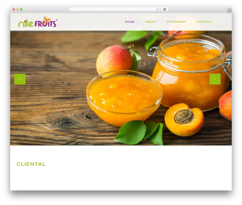 Qode tours WordPress plugin - nilefruits.com