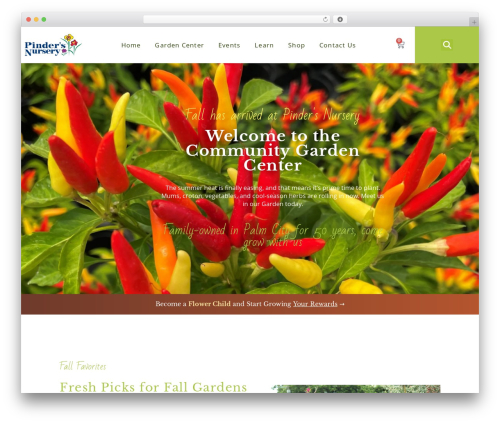HT Feed (ht-instagram) free WordPress plugin - pindersnursery.com HT Feed (ht-instagram) free WordPress plugin - pindersnursery.com