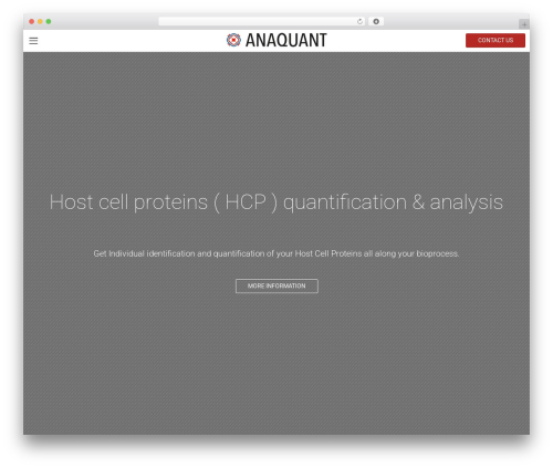 WordPress theme anaquant - anaquant.com