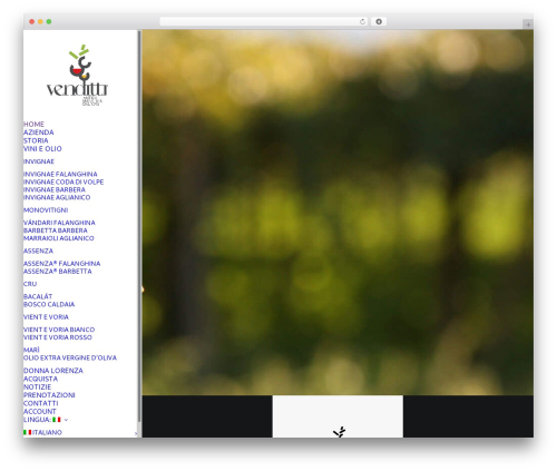 Qtranslate xt 3.16.1 WordPress plugin - venditti.it