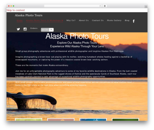 X email mailchimp WordPress plugin - alaska-photo-tours.com