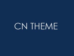 CN THEME WordPress theme by ROY