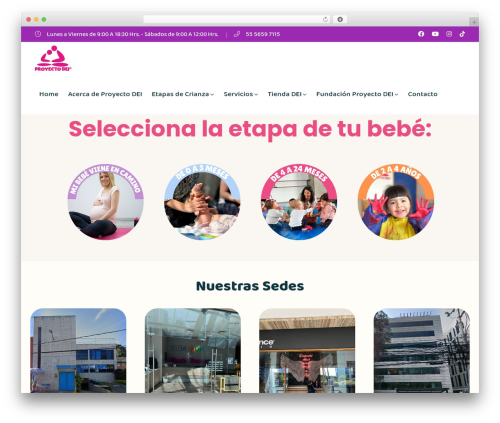 WordPress website theme Knirpse - proyectodei.org