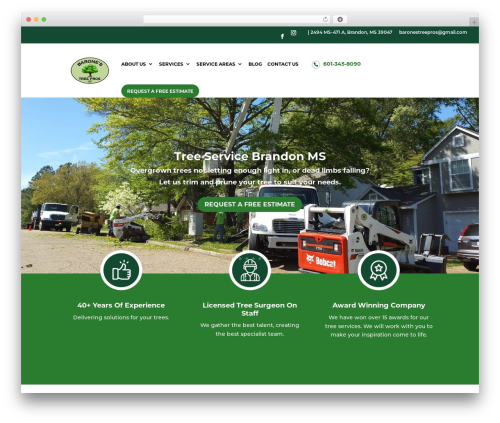 Divi theme WordPress - baronestreepros.com