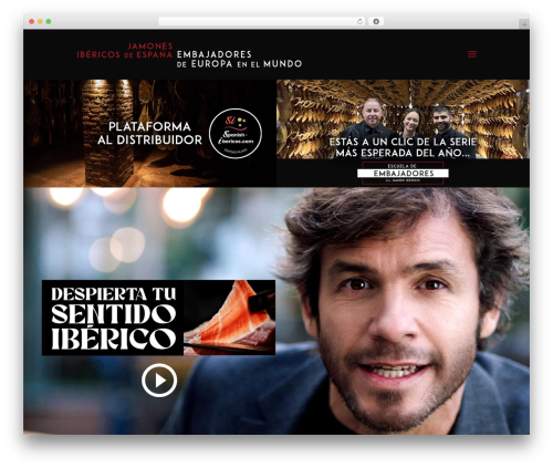 Video popup premium WordPress plugin - jamonesibericoseu.com