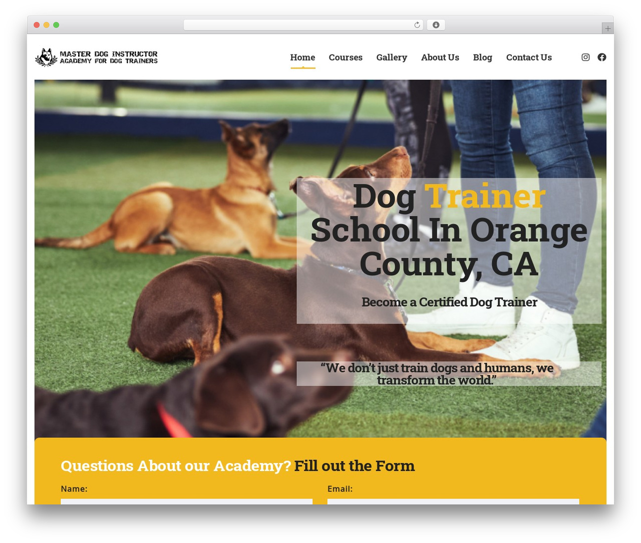 MasterStudy WordPress theme - masterdogtraineracademy.com MasterStudy WordPress theme - masterdogtraineracademy.com