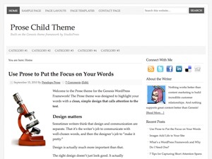 Prose WordPress theme Prose WordPress theme