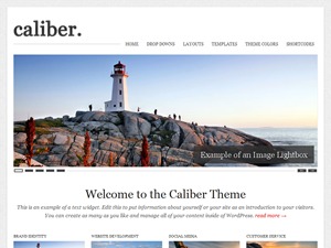 WordPress website theme Caliber